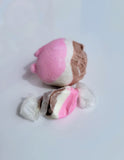 FREEZE DRIED NEAPOLITAN SALT WATER TAFFY